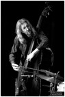 Peter Morgan, double bass player at the Polish Centre